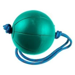 Gym Ball With Rope -Track And Field Supplies 1153003 518ef237 0885 4980 aa44 b58ba97dd203