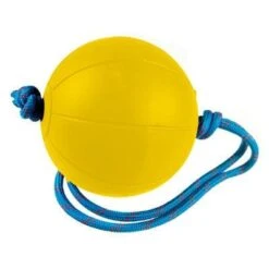Gym Ball With Rope -Track And Field Supplies 1153004 eaaaca95 e75c 4354 92ae 47815d3d1f5b