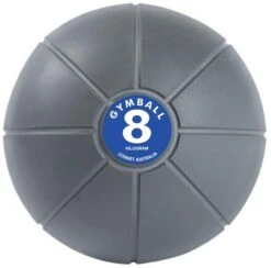 Gym Ball -Track And Field Supplies 7960800 ecc9f487 d9ab 4893 9f5c c55e8c09b4b2